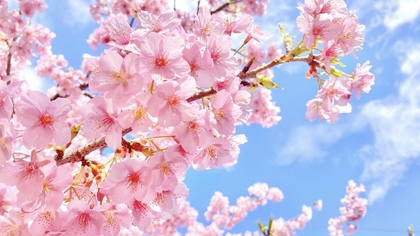 4月の講座予定とご予約状況について