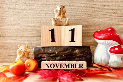 【11月のお知らせ】＆11月に意識したい！年末に差がつく「季節の片づけ小ネタ」3選