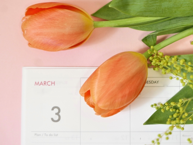 【3月のお知らせ】春の光と、新しい暮らしの「種まき」