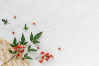 【年始のご挨拶】2026年のスタートに寄せて。1月・2月の訪問予約状況のお知らせ